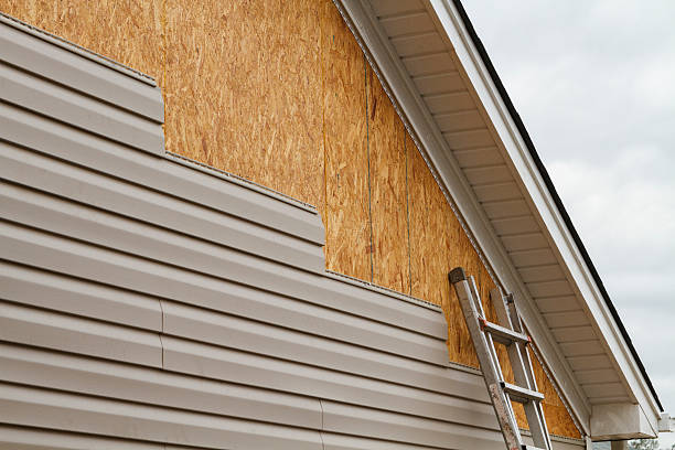 Professional Siding Repair technician working in Louisville, TN